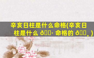 辛亥日柱是什么命格(辛亥日柱是什么 🌷 命格的 🕸 )
